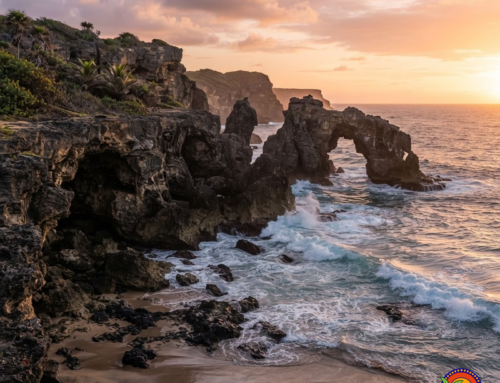 Survival Beach Aguadilla: Complete Guide to PR’s Hidden Gem Beach